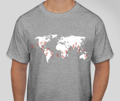 Picture of T-Shirt - Gray: AIP/GFP Unisex