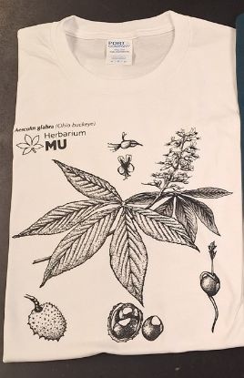 Picture of Buckeye T-Shirt