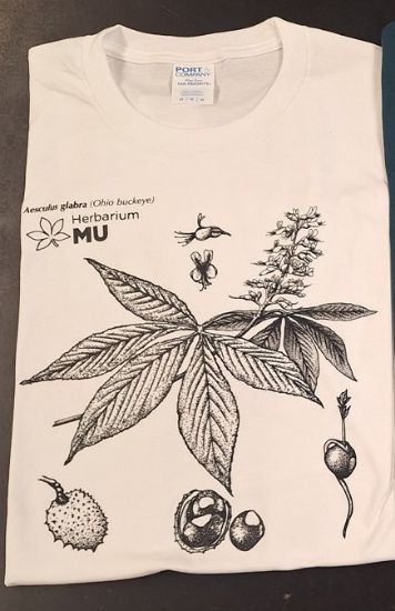 Picture of Buckeye T-Shirt