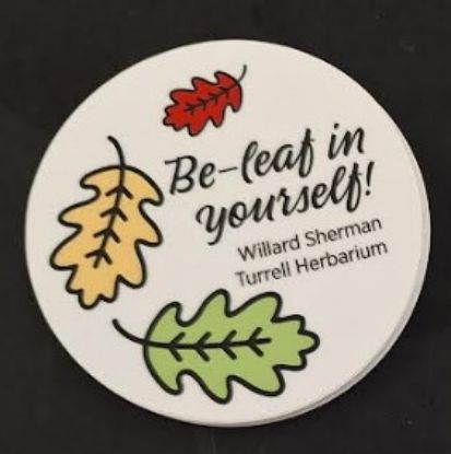 Picture of Sticker: Be-Leaf in yourself!