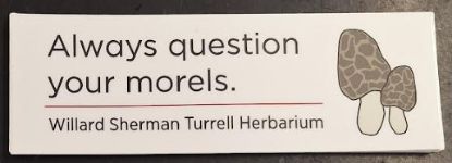 Picture of Sticker: Always question your Morels