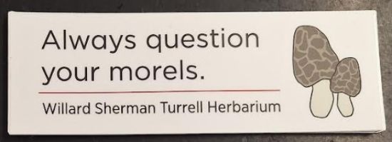 Picture of Sticker: Always question your Morels