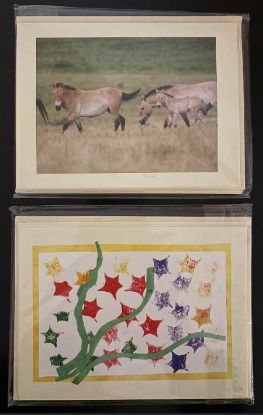 Picture of Notecards: Earth Expeditions Wild Art Cards