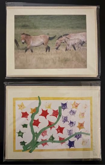 Picture of Notecards: Earth Expeditions Wild Art Cards